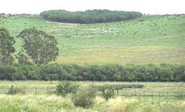 Campo en Capilla del Señor, Buenas Aires