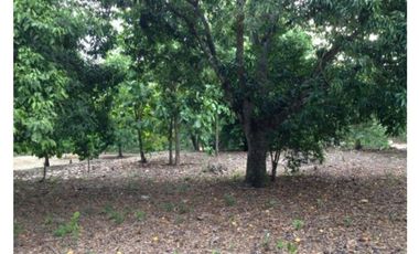 Venta Lote en Sopetrán  5.444mt2, sector Turístico y campestre