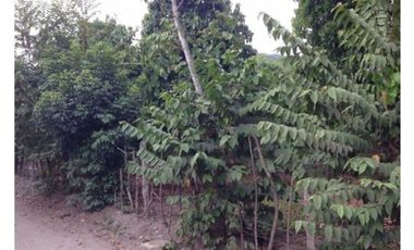 Venta Lote en Sopetrán  5.444mt2, sector Turístico y campestre