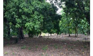 Venta Lote en Sopetrán  5.444mt2, sector Turístico y campestre