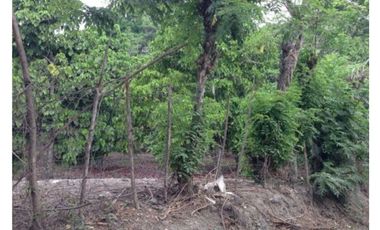 Venta Lote en Sopetrán  5.444mt2, sector Turístico y campestre