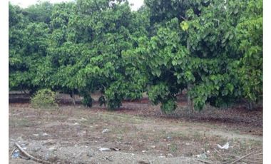 Venta Lote en Sopetrán  5.444mt2, sector Turístico y campestre