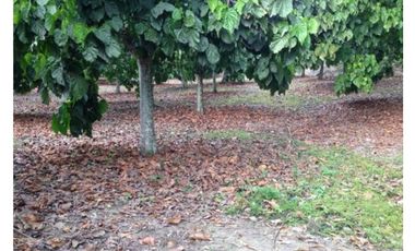 Venta Lote en Sopetrán  5.444mt2, sector Turístico y campestre