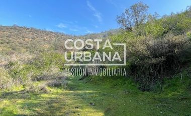 Gran Parcela en La Aurora, Curacaví