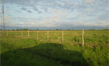 Excelentes 24 HAS A 3 KM DE FONTANA CENTRO