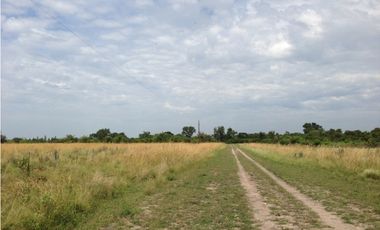 Excelentes 24 HAS A 3 KM DE FONTANA CENTRO