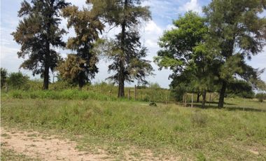 Excelentes 24 HAS A 3 KM DE FONTANA CENTRO