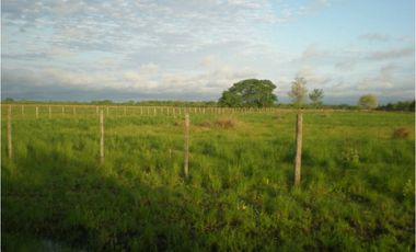 Excelentes 24 HAS A 3 KM DE FONTANA CENTRO