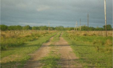 Excelentes 24 HAS A 3 KM DE FONTANA CENTRO