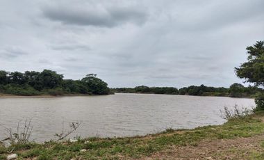 Hectáreas en Venta en Veracruz Tlacotalpan con Cause de Río. Ver.