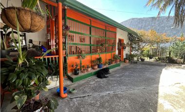 se vende casa o casa lote en concordia, Antioquia