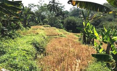 Tanah Murah di Baturraden, Banyumas