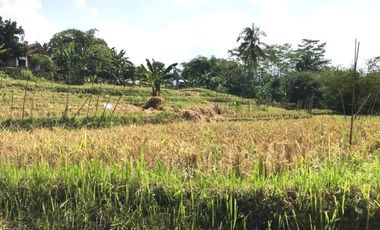 Tanah Murah di Baturraden, Banyumas