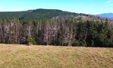 Se vende Terreno Agrícola, Villarica, Región de La Arucanía