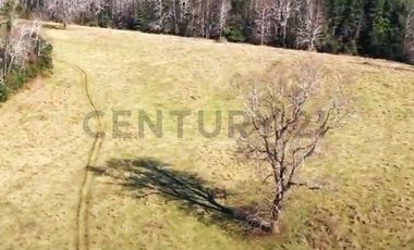 Se vende Terreno Agrícola, Villarica, Región de La Arucanía