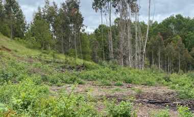 Se vende Terreno Agrícola, Villarica, Región de La Arucanía