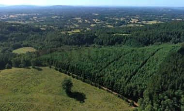 Se vende Terreno Agrícola, Villarica, Región de La Arucanía