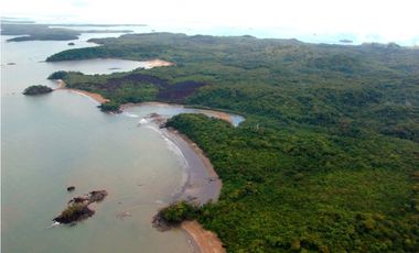 Se Venden 40 Hectáreas Isla Paradisiaca Archip Las Perlas USD30$xM2