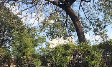 QUINTA ROSETTI 2700 SAN MIGUEL