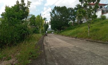 362 Sqm Residential Lot for Sale in Lamac Consolacion Cebu with Mountain View