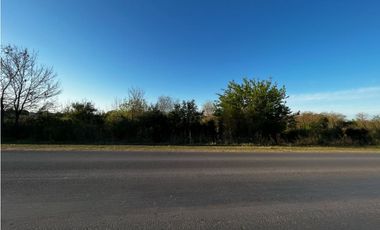 Vendo Campo de 4,6 hectáreas en Concepción del Uruguay, Entre Ríos.