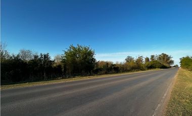 Vendo Campo de 4,6 hectáreas en Concepción del Uruguay, Entre Ríos.