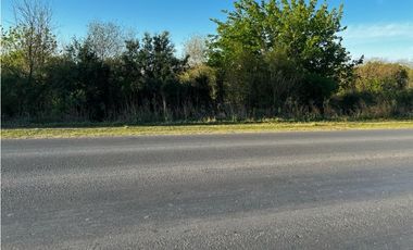 Vendo Campo de 4,6 hectáreas en Concepción del Uruguay, Entre Ríos.