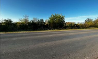 Vendo Campo de 4,6 hectáreas en Concepción del Uruguay, Entre Ríos.