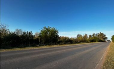 Vendo Campo de 4,6 hectáreas en Concepción del Uruguay, Entre Ríos.