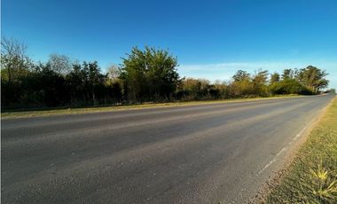 Vendo Campo de 4,6 hectáreas en Concepción del Uruguay, Entre Ríos.