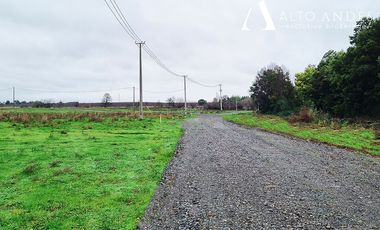 Sitio en Venta en Camino Las Trancas s/n
