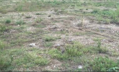 Lot for Lease in Mandaue