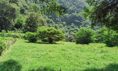 Se vende terreno  en Coacoatzintla Km 9.5