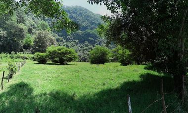 Se vende terreno  en Coacoatzintla Km 9.5