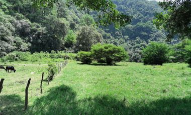 Se vende terreno  en Coacoatzintla Km 9.5