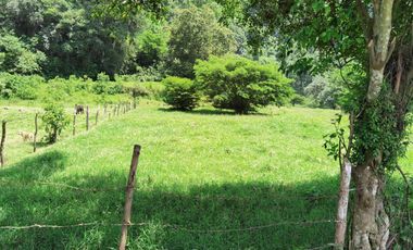 Se vende terreno  en Coacoatzintla Km 9.5