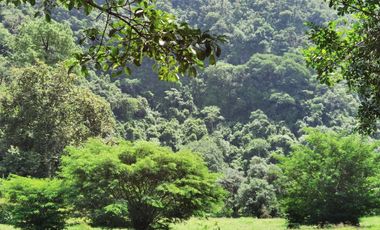 Se vende terreno  en Coacoatzintla Km 9.5