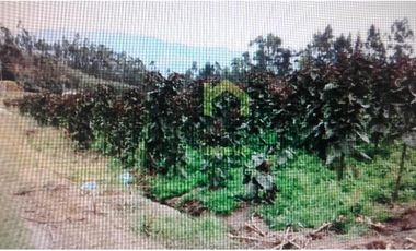 FINCA EN ATUNTAQUI 5 HAS