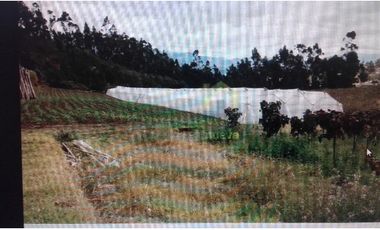 FINCA EN ATUNTAQUI 5 HAS