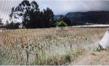 FINCA EN ATUNTAQUI 5 HAS