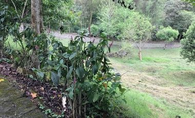 Venta terrenos  en Coatepec, Ver.