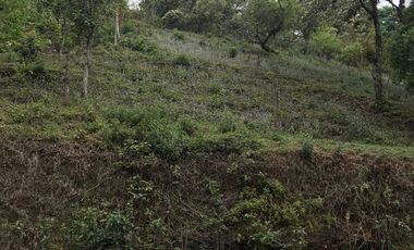 Venta terrenos  en Coatepec, Ver.