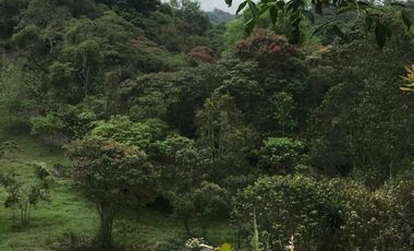 Venta terrenos  en Coatepec, Ver.
