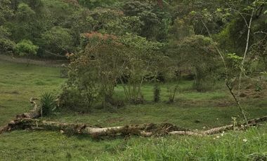 Venta terrenos  en Coatepec, Ver.