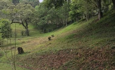 Venta terrenos  en Coatepec, Ver.