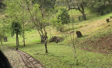 Venta terrenos  en Coatepec, Ver.