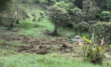 Venta terrenos  en Coatepec, Ver.