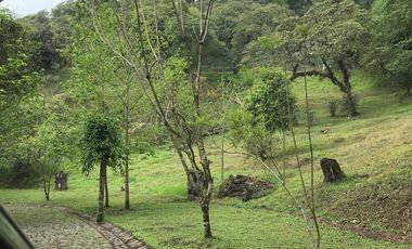 Venta terrenos  en Coatepec, Ver.