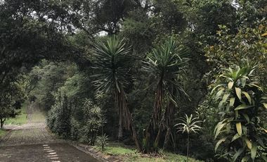 Venta terrenos  en Coatepec, Ver.