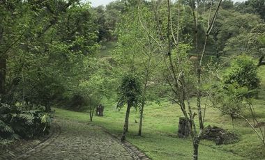 Venta terrenos  en Coatepec, Ver.